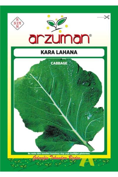 Arzuman 2000 Adet Kara (yaprak) Lahana Tohumu