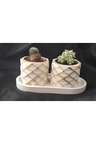 minivase Sukulent, Kaktüs 3' Lü Saksı Set