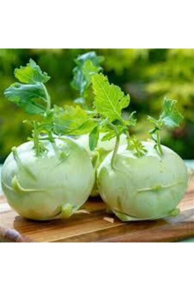 Köy Tohumları 100 Adet Tohum Organik Yeni Sezon Süper Paket Alabaş Turp Tohumu Sürpriz Hediye Tohum