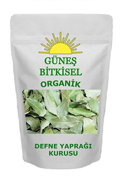 Güneş Bitkisel Organik ورق الغار المجفف 1 كجم أخضر مجفف