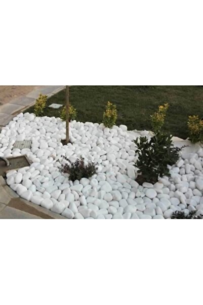 Ekodoğa Dolomit Taş 20 Kg 4-6 Cm Beyaz Dolomit Taş Saksı Dibi Dekoratif Taş Bahçe Süsleme Taşı Peyzaj Taşı