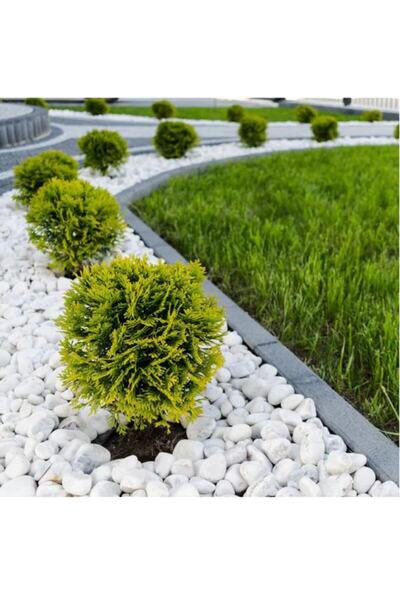 Ekodoğa Dolomit Taş 15 Kg 4-6 Cm Beyaz Dolomit Taş Saksı Dibi Dekoratif Taş B...