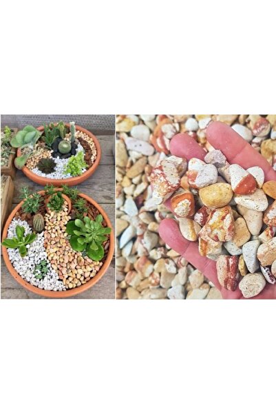 Asenya Sarı Renkli Dolomit Taş 2 Kg 1-2 Cm Sarı Çizgili Bahçe Taşı Süs Taşı A...