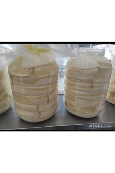 doğal peynir Organik Köy Peyniri