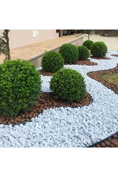 Asenya Dolomit Taş 3 Kg 2-4 Cm Beyaz Dolomit Taş Saksı Dibi Dekoratif Taş Bah...