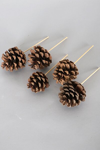 Yapay Çiçek Deposu Къса бамбукова дръжка от борови шишарки, 5 броя, естествени