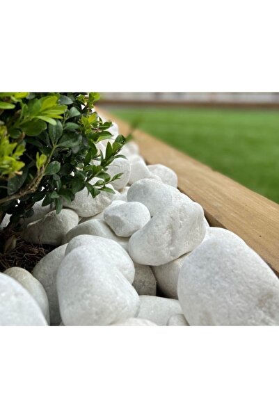 Asenya Dolomit Taş 10 Kg 6-10 Cm Beyaz Dolomit Taş Saksı Dibi Dekoratif Taş B...