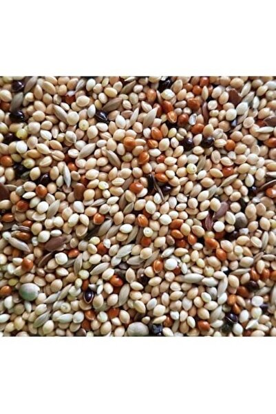 Versele Laga 5 Kg Karadeniz Üretim Lüks Yem ( 6 ' Lı Karışım ) (ÖZEL VAKUMLU ...