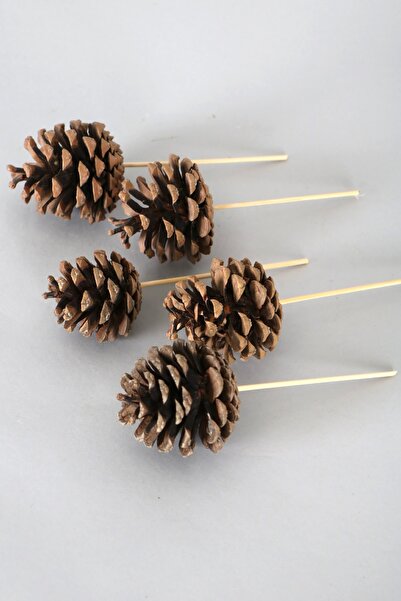 Yapay Çiçek Deposu Къса бамбукова дръжка от борови шишарки, 5 броя, естествени