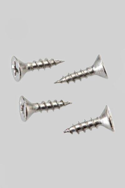 Selectron 4x20 Ağaç Vidası (100 Adet) Sntyhb20