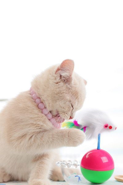 Buffer ® Set of 3 Washable Dust Collection Roller + Fluff Cleaning Glove + Cat Toy with Mouse