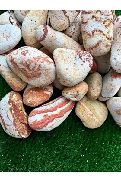 Asenya Sarı Renkli Dolomit Taş 25 Kg 2-4 Cm Sarı Çizgili Bahçe Taşı Saksı Dib...