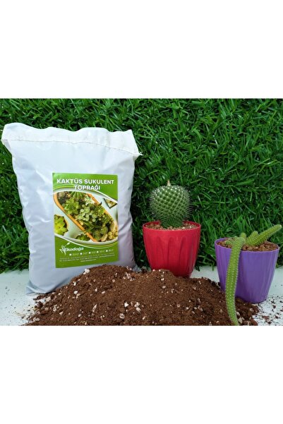 Doğalsan Tarım Kaktüs Toprağı 3 Lt Sukulent Toprağı Aloe Vera Toprağı Ithal T...