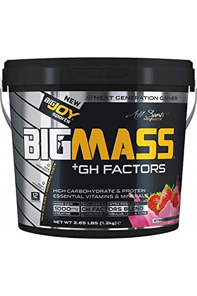 Bigjoy Vitamins Bigjoy Bigmass Gh Factor مسحوق الكربوهيدرات - بنكهة الفراولة ...