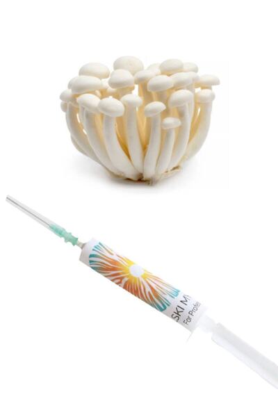 Polski Mycelium Şimeji (shimeji) Mantarı Sıvı Miseli 5 Ml Mantar Tohumu Manta...