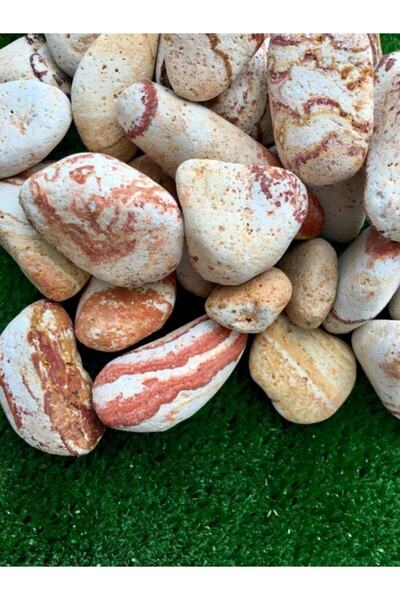 Asenya Sarı Renkli Dolomit Taş 5 Kg 2-4 Cm Sarı Çizgili Bahçe Taşı Saksı Dibi...