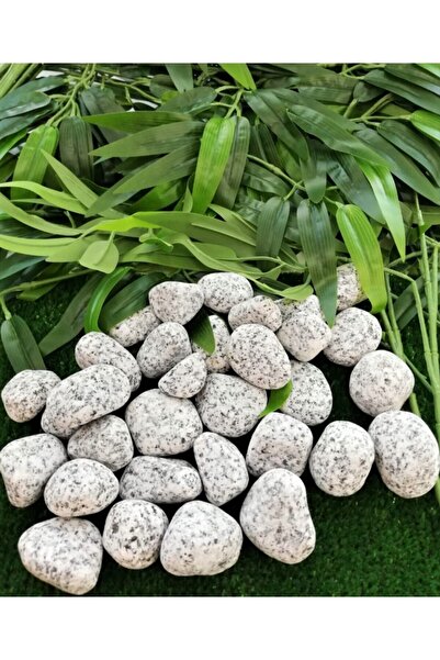 Asenya Benekli Taş 25 Kg 2-4 Cm Siyah Beyaz Benekli Taş Granit Dolomit Taş De...