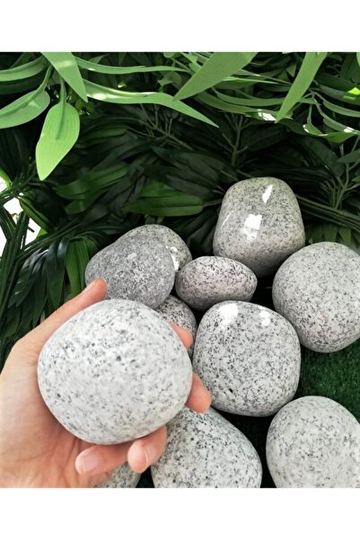 Asenya Benekli Taş 15 Kg 6-10 Cm Siyah Beyaz Benekli Taş Granit Dolomit Taş D...