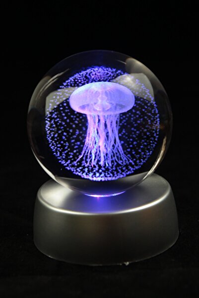 moryconcept Cam Küre Işıklı Standlı Deniz Anası Model Sevgiliye Hediye