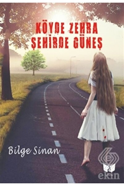 Ateş Yayınları Köyde Zehra Şehirde Güneş - Bilge Sinan 9786257398619