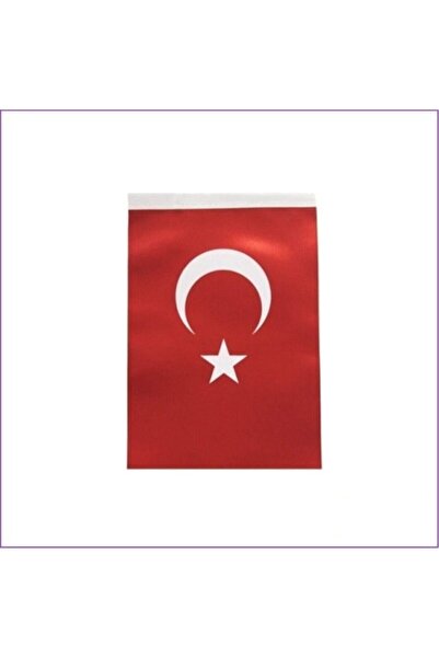İnter Türk Bayrak 80*120 Cm