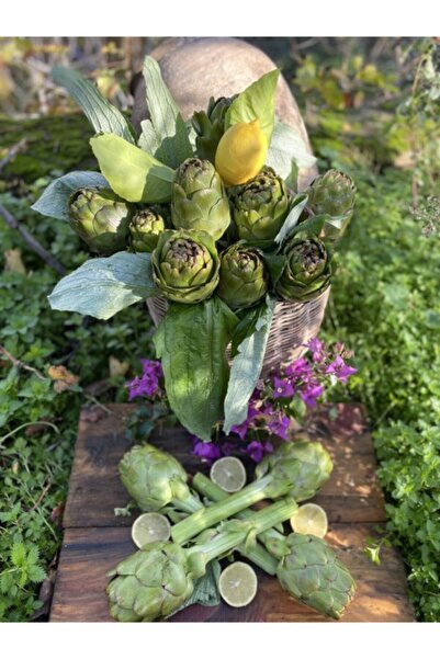 Aydın Enginar Köy Ürünleri 20 Dalından Dolmalık Enginar- Aydın Köy Ürünleri