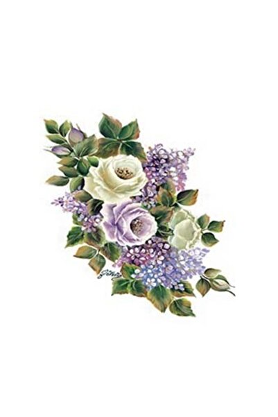 Cadence G95 17x25 جولسون كونتري