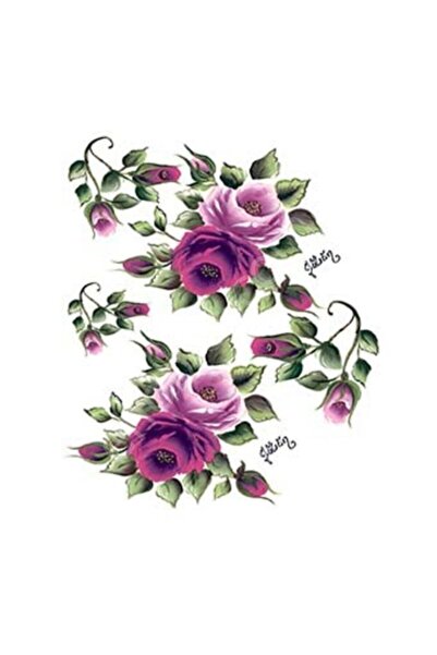 Cadence G110 17x25 جولسن كونتري