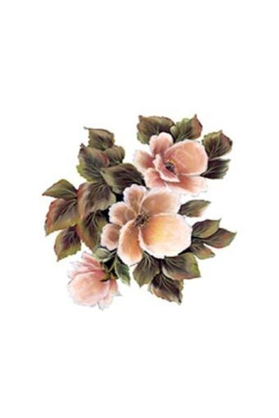 Cadence G164 17x25 جورلسون كونتري