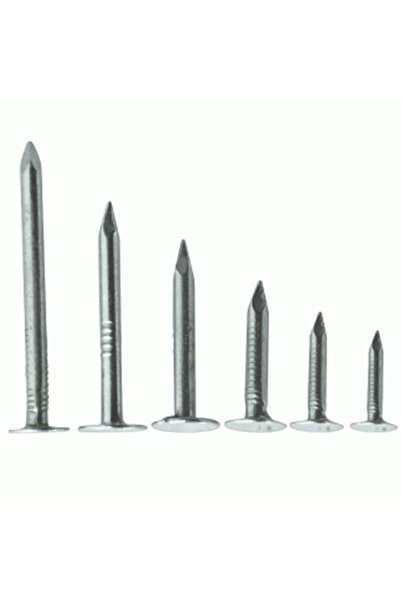 Genel Markalar Şıngıl Çivi 2 cm 1 kg