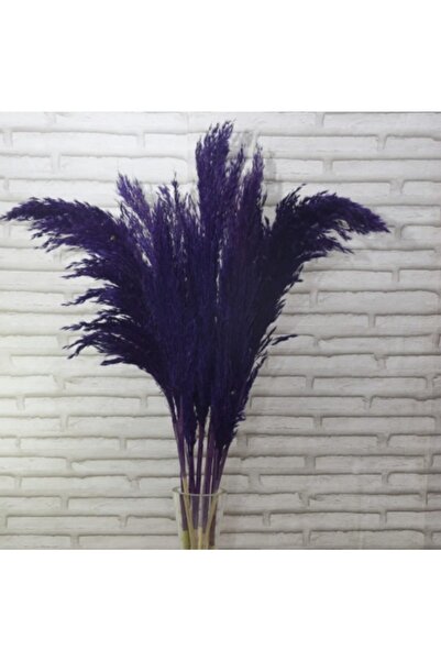 Mimozaçiçek Mor 10 Adet 100cm Pampas