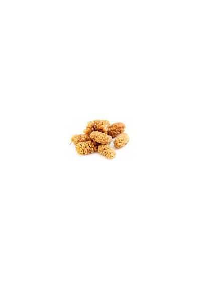 Özkuruşlar Dried Mulberry 150 gr