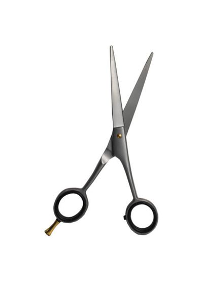 Nanoplex Professional Hair Cutting Scissors, Flat Silver Gray Scissors
