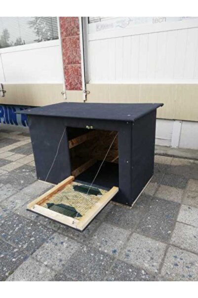 GÜVERCİN KÜMESİ İSTANBUL Güvercin Kümesi