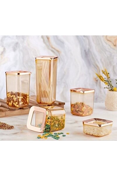 Northern Vip Ahmet Transparent Copper 20 Pieces Storage Container