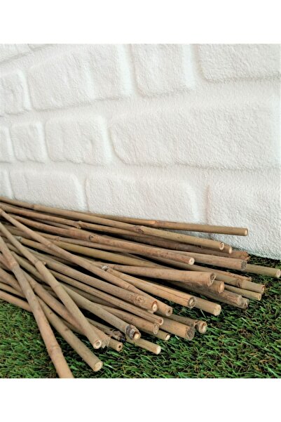 Doğalsan Tarım Bambu Çubuk 75 Cm 10 Adet 8-10 Mm Bambu Çubuğu Bitki Destek Çubuğu Bambu Çubukları