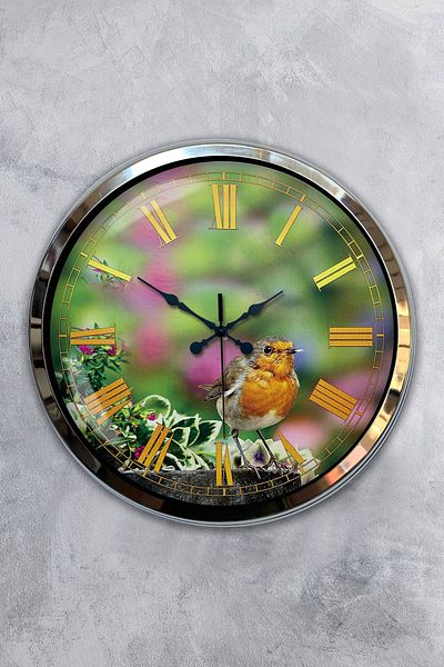 Kasva Concept Gift 40 cm Chrome Metal Wall Clock with Bird