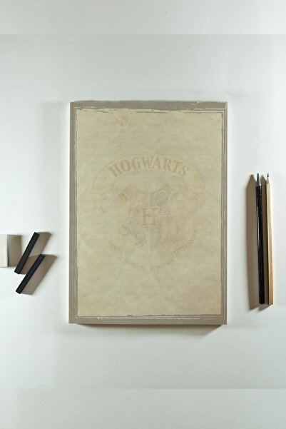 GiFi Blocnotes A4 Harry Potter cu licență, design special