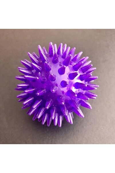 öztürk.avm Özt.kedi-köpek Düdüklü Işıklı Kirpi Top Mor