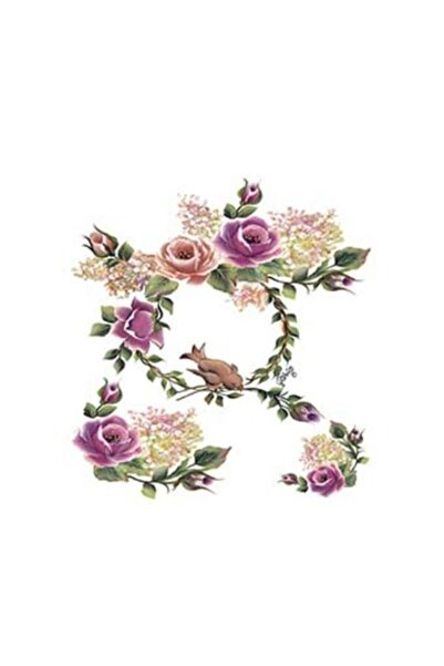 Cadence G96 17x25 جولسون البلد