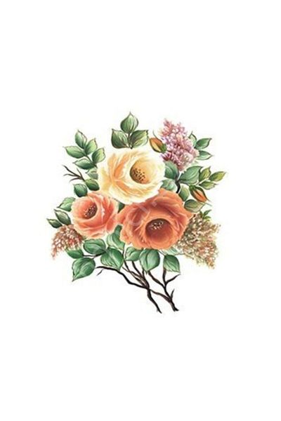 Cadence Xl01 35x50 Rose Land