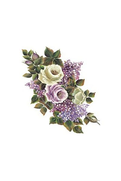Cadence Xl04 35x50 Rose Land