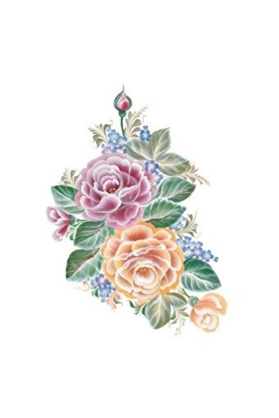 Cadence T01 سيفيتلانا زهوركينا 17x25 نقل