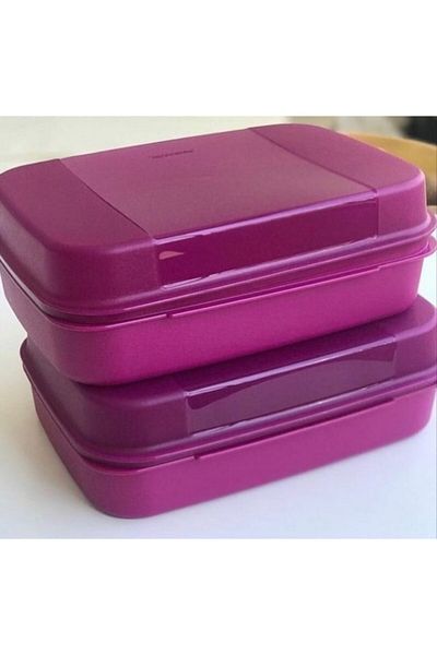 Tupperware حاوية تخزين كبيرة F20 مكونة من قطعتين