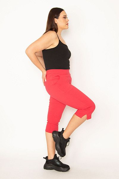 Şans Plus Size Shorts & Bermuda - Pink - High Waist