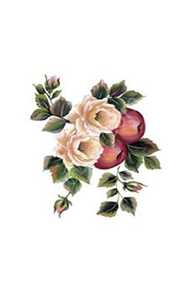 Cadence G161 17x25 جولسن كونتري