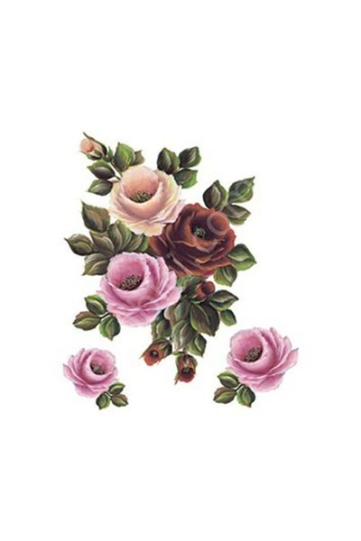 Cadence Xl08 35x50 Rose Land