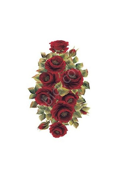 Cadence Xl07 35x50 Rose Land