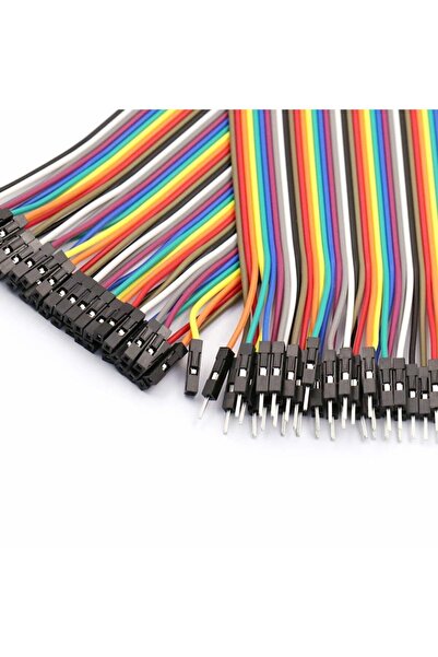 electroon Jumper Kablo 20cm 40Pin Ayrılabilen Dişi-Erkek