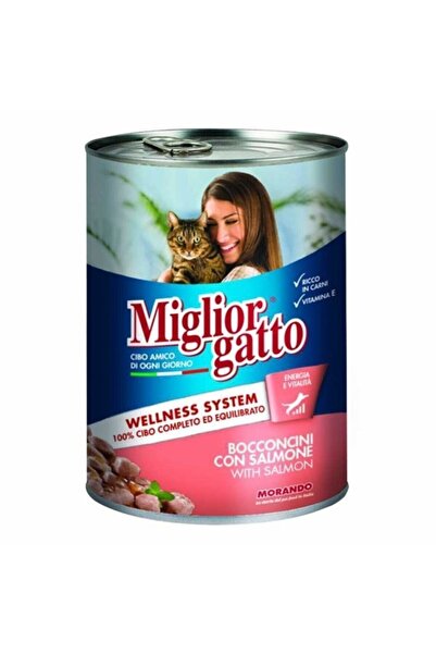 Miglior Chunks with Salmon Wet Cat Food Adult Cat Canned - 405g Pack of 12